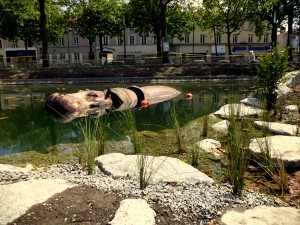 La_Roche-sur-Yon,_hippopotame