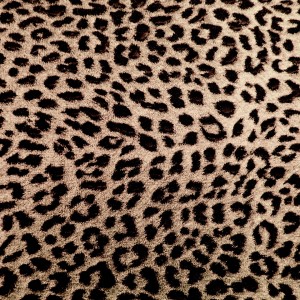 léopard-motif-1560x1560