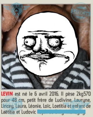 levin-&-co