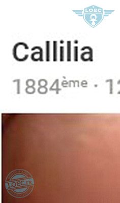 callilia
