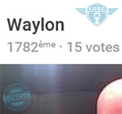 waylon