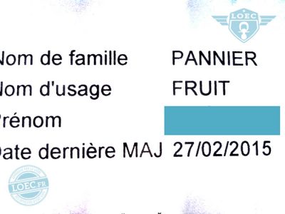 fruit-panier