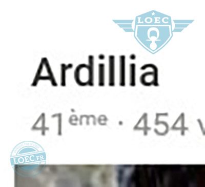 ardilia