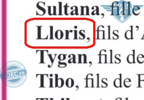pdj-lloris
